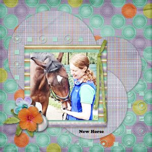 New Horse