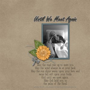 Until We Meet Again