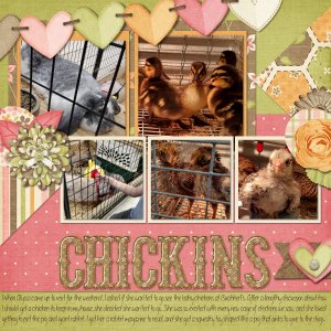 Chickens pg2