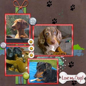Love My Dogs!