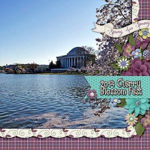2014-cherry-blossom-fest_