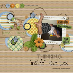 Thinking "inside" the box