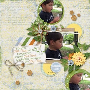 Little things