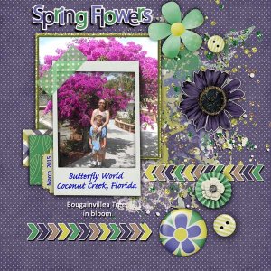 Spring Flowers