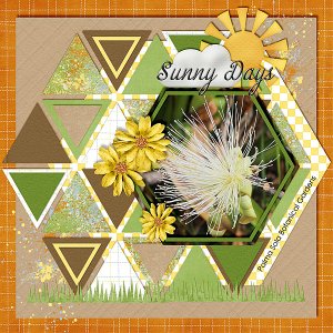 Sunny Days