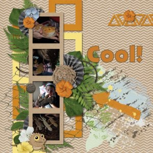 Cool!