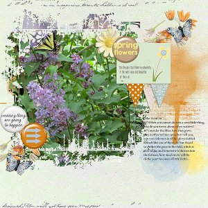 Spring Flowers