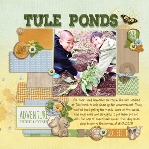 Tule Ponds