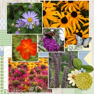 Butterfly Garden p. 2
