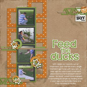 Feed-the-DucksWEB