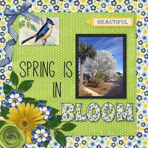 Blooming Spring
