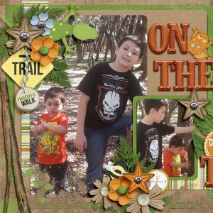 On the Trail