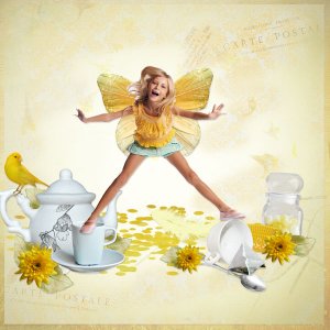 02-Butterfly-spring