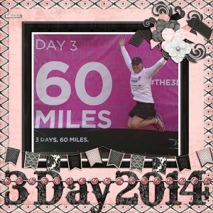3 Day 2014 l