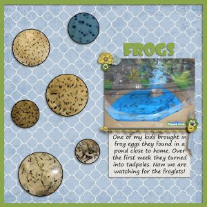 Frogs