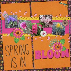Spring is in Bloom