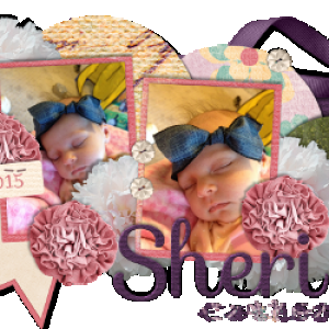 April 2015 Siggy