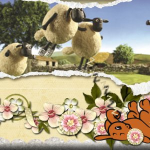 Counting Sheep
