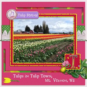 Tulips