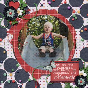 remember-the-moments