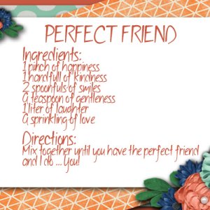 Perfect Friend