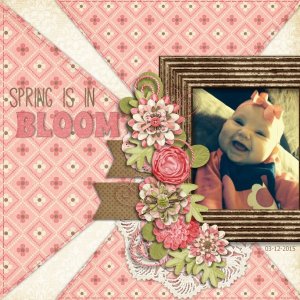 Bloom