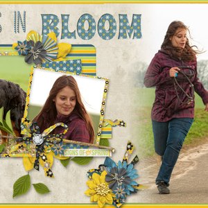Spring is in Bloom