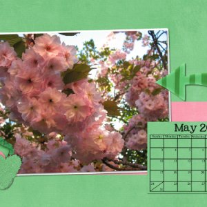 April 2015 Desktop
