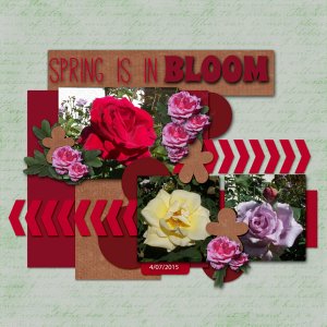 Roses in Bloom