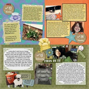 2015 P52 Week 15 Page 2
