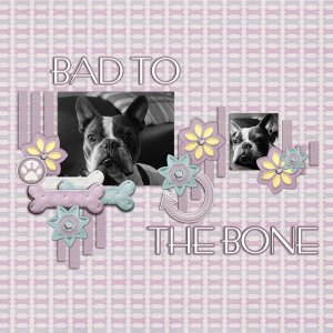 Bad To The Bone