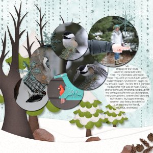 Chickadees