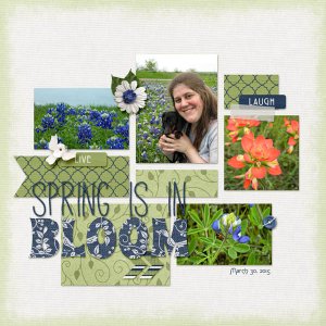 Spring is in Bloom
