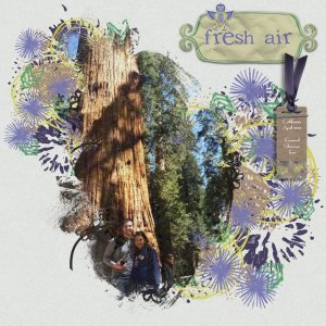 Fresh Air