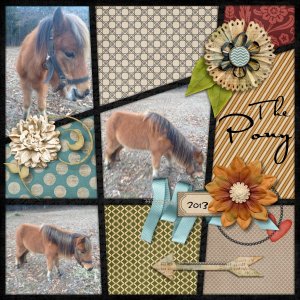 The Pony-version2