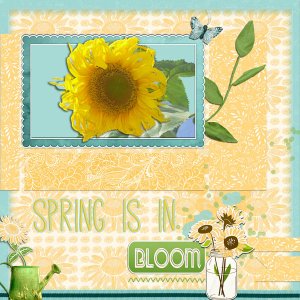 BLOOM