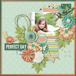 Perfect Day