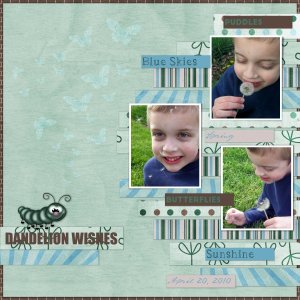 Dandelion Wishes