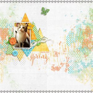 spring