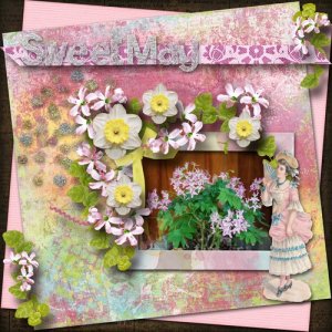 Sweet_May