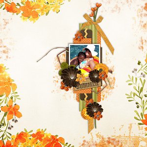 Orange_Squash_LO1_05_01_STS