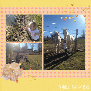 Feeding the Horses
