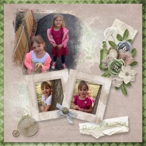 Precious Memories