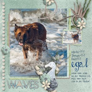 Jacky + the waves