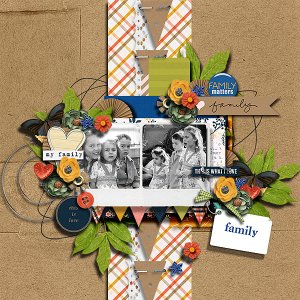 For the Love of a Family