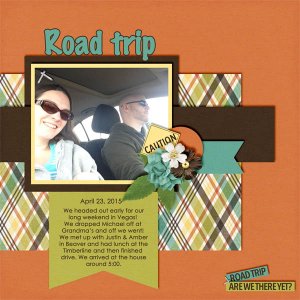 Road Trip Nap