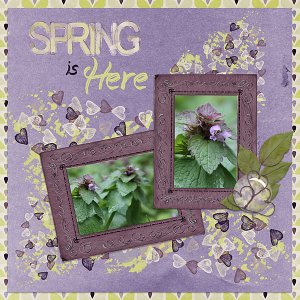 Spring