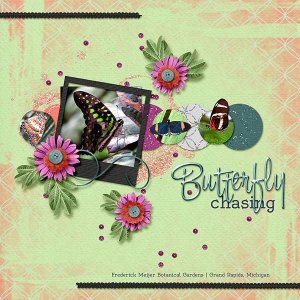 Butterfly Chasing