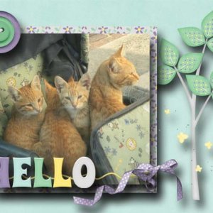 Hello :)