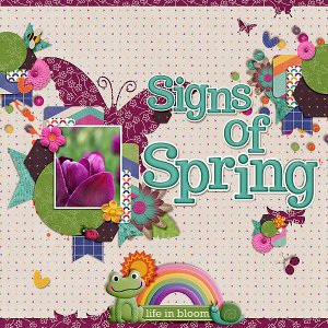 signs-of-spring2